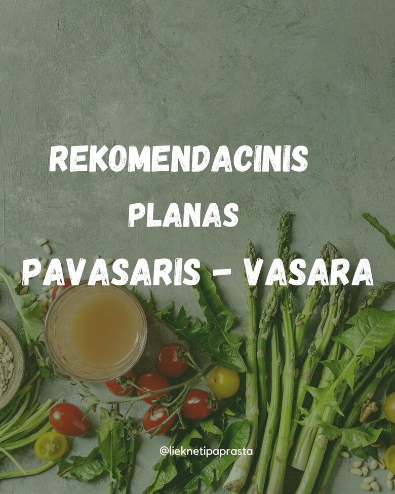 REKOMENDACINIS MITYBOS PLANAS PAVASARIS - VASARA PDF formatu