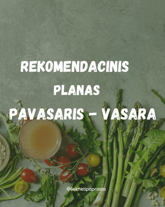 REKOMENDACINIS MITYBOS PLANAS PAVASARIS - VASARA PDF formatu
